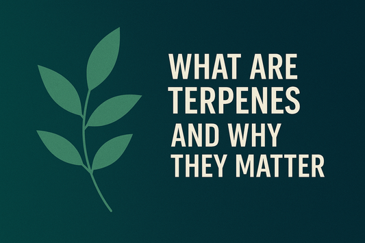What Are Terpenes and Why They Matter